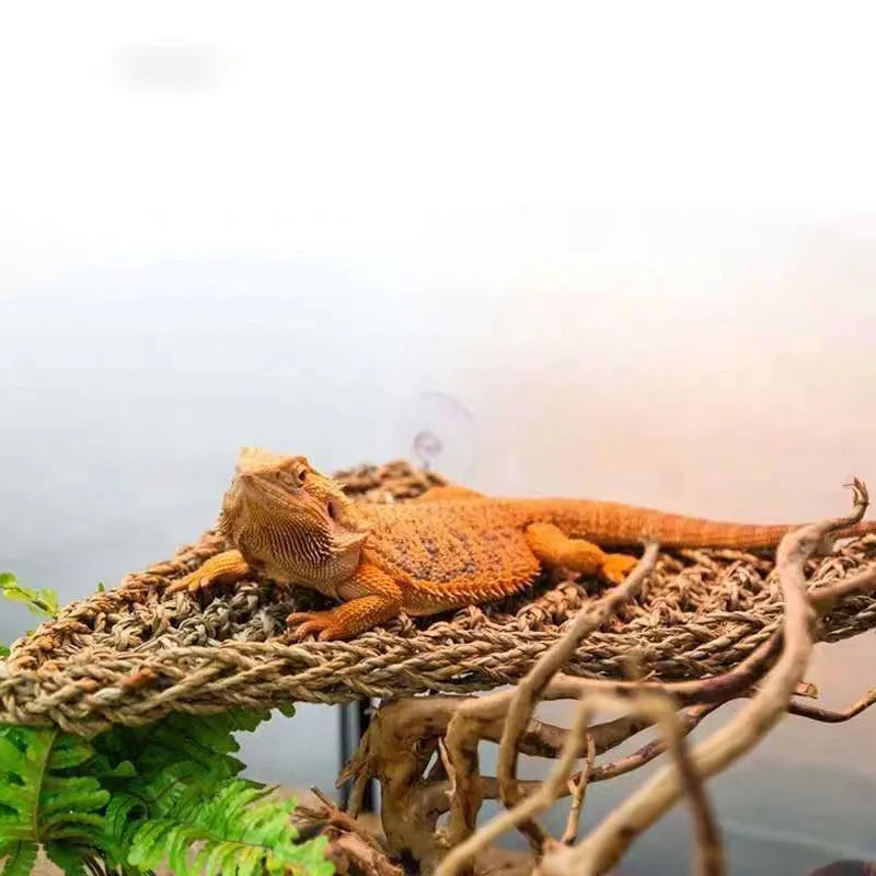 Cozy Hammock Lounger for Reptiles | Perfect for Bearded Dragons, Chameleons, Geckos, Snakes, and More!