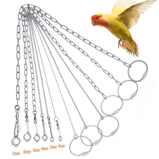 Stainless Steel Bird Foot Chains for Safe Outdoor Training | Perfect for Parrots, Starlings, and Pigeons