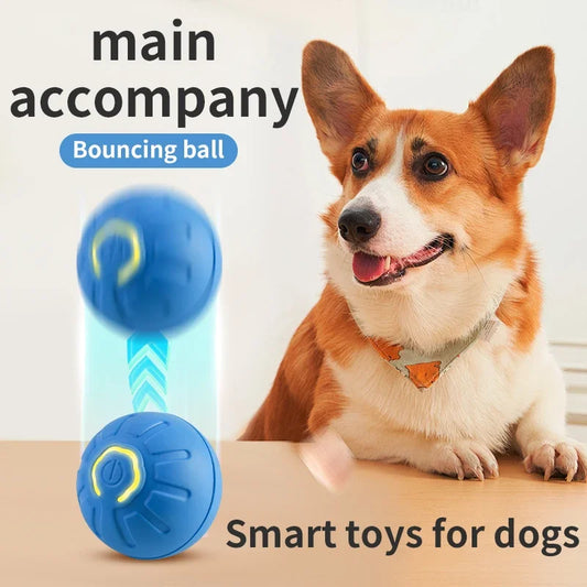 Wiggly Woof Ball | USB-Powered Smart Toy for Pets