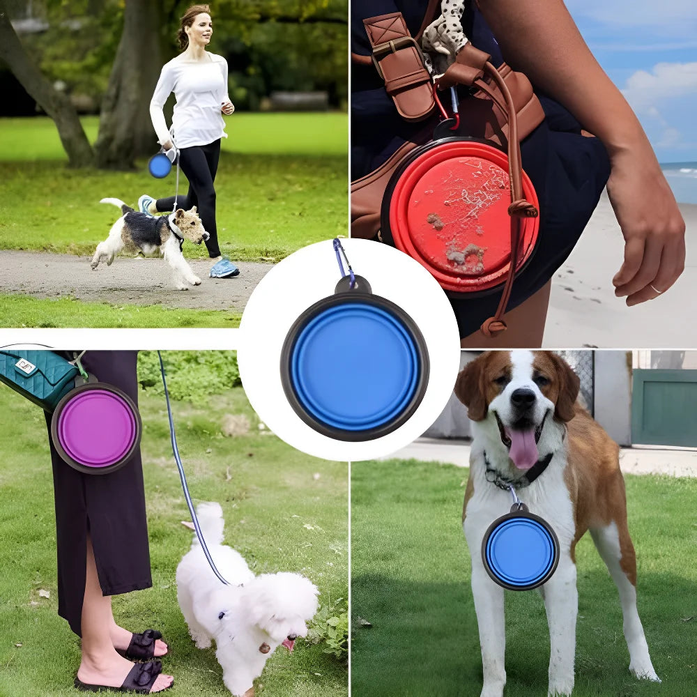 Portable Pet Adventure Bowl - Collapsible Silicone Travel Feeder