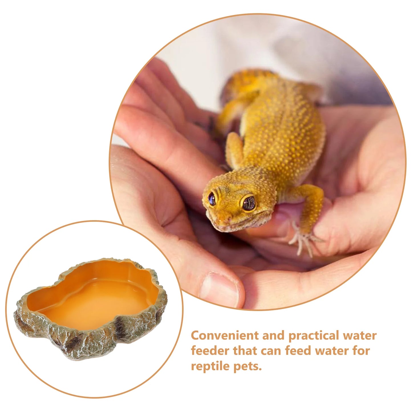 Premium Resin Reptile Feeding Dish - Durable & Safe