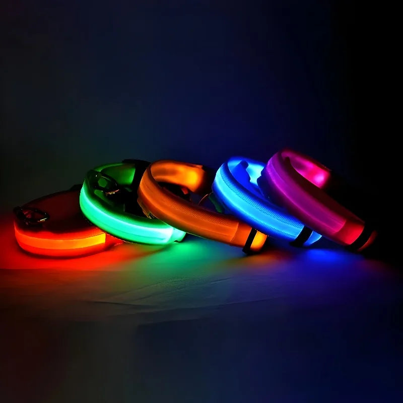 LED Nylon Dog Collar | Night Safety Flashing Glow-in-the-Dark Leash & Fluorescent Pet Accessories