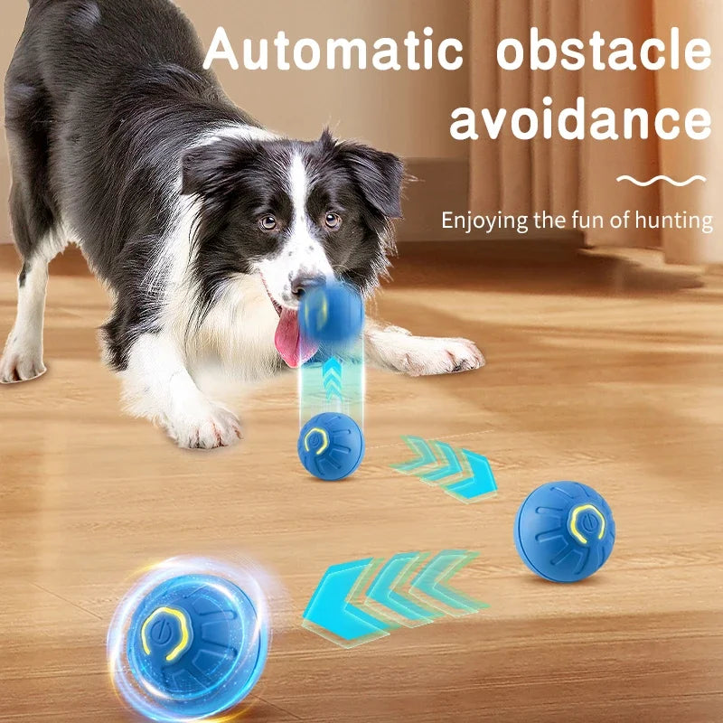 Wiggly Woof Ball | USB-Powered Smart Toy for Pets