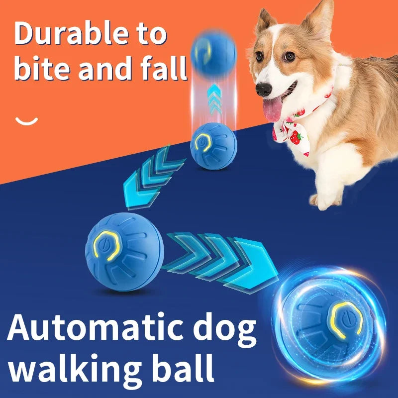 Wiggly Woof Ball | USB-Powered Smart Toy for Pets