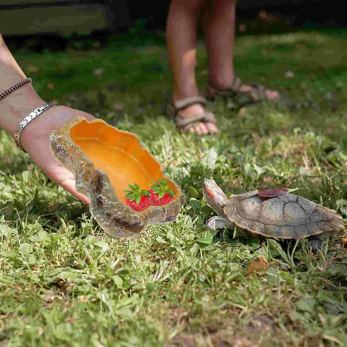 Premium Resin Reptile Feeding Dish - Durable & Safe