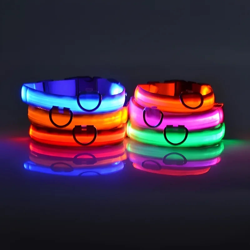 LED Nylon Dog Collar | Night Safety Flashing Glow-in-the-Dark Leash & Fluorescent Pet Accessories