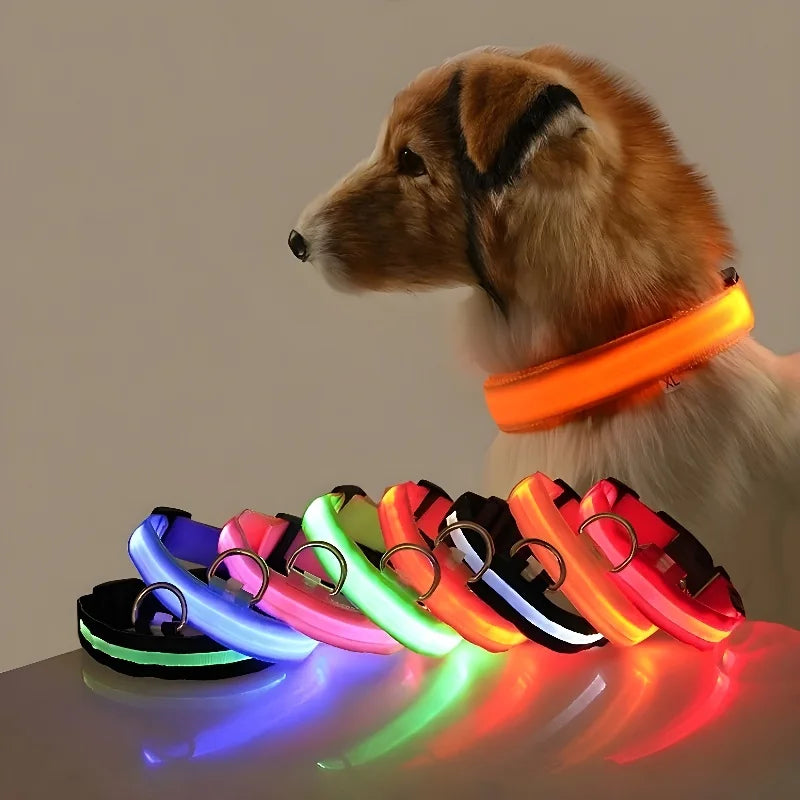 LED Nylon Dog Collar | Night Safety Flashing Glow-in-the-Dark Leash & Fluorescent Pet Accessories